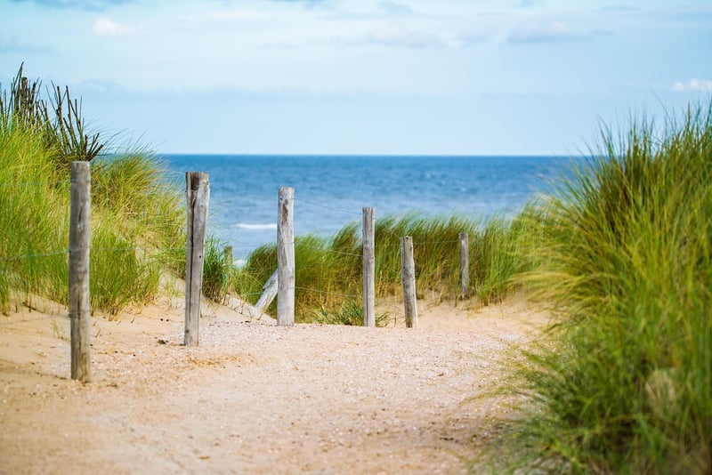 Beach Stroll